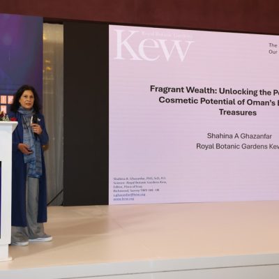 Geno Business 3-1 Geno Business 3-1