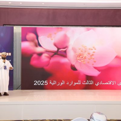 Geno Business 3-3 Geno Business 3-3